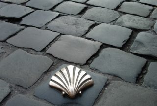 Camino de Santiago