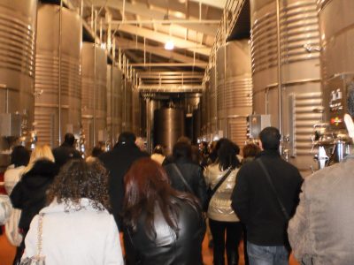 Visita en Inglés a Bodegas Ramón Bilbao