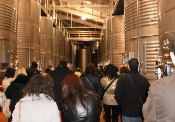 Visita en Inglés a Bodegas Ramón Bilbao