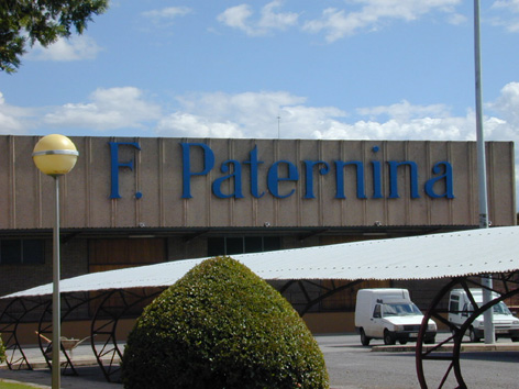 Paternina