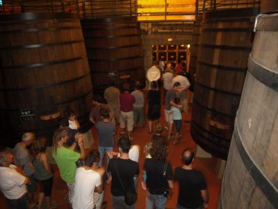 Visita a Bodegas Muga