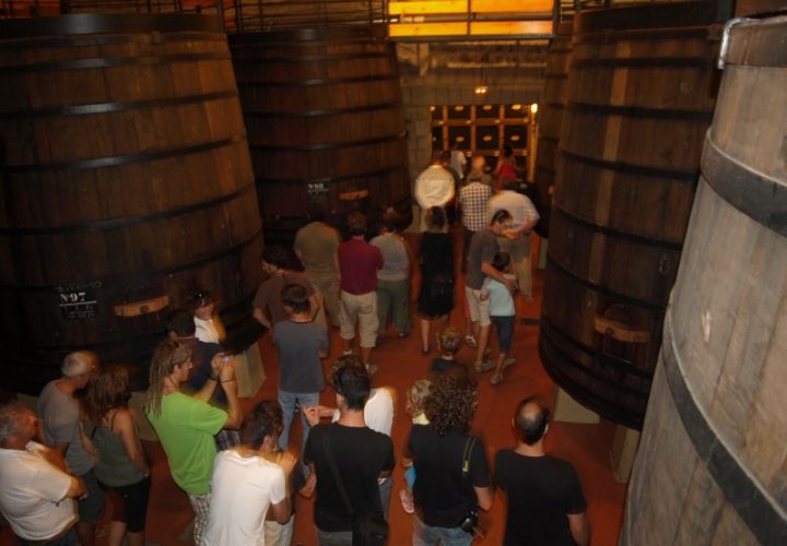 Visita a Bodegas Muga