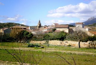 Abalos