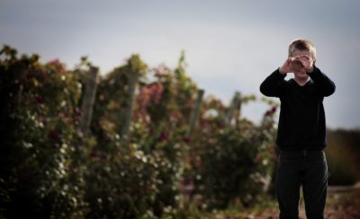 Vivanco Kids-Programa Educ Infantil en Cultura de Vino