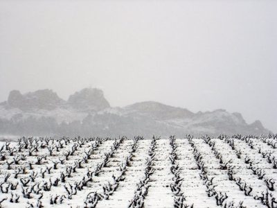 Nevada (foto archivo)