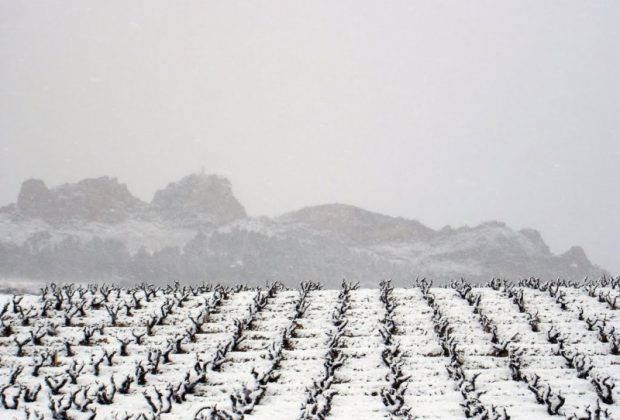 Nevada (foto archivo)