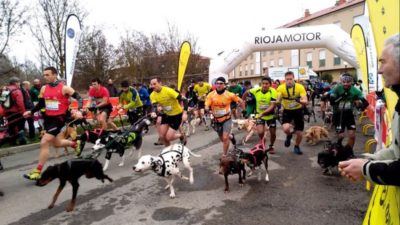 Imagen de la salida del Canicross 2016