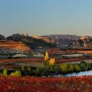 Viñas en otoño, Rioja Alta, DOC Rioja,Haro, la Rioja