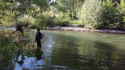 Pesca 50 aniversario Coto