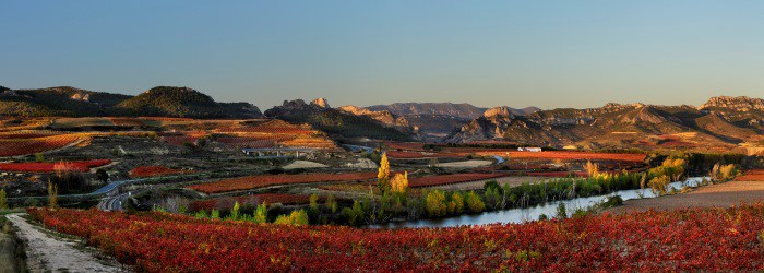 Viñas en otoño, Rioja Alta, DOC Rioja, Haro, la Rioja