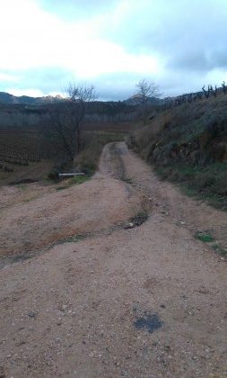 Caminos rurales Enmedio y Los Huertos Haro
