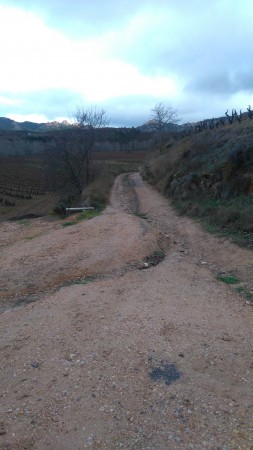 Caminos rurales Enmedio y Los Huertos Haro
