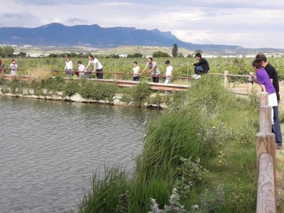 CONCURSO INFANTIL (3)