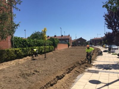 Parterre 4