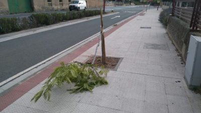 Actos vandálicos 2