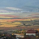 Cordovin