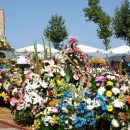 Ofrenda de flores a la Virgen de la Vega