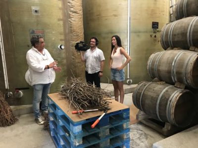 ESPAÑA DIRECTO 070818