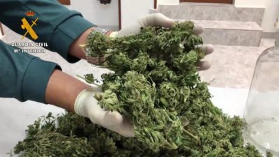 500 gramos de cogollos