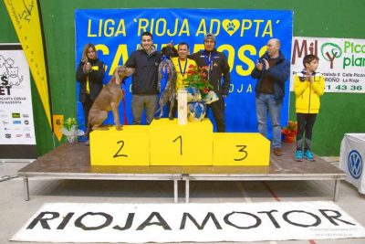 canicrosscasalarreina-11