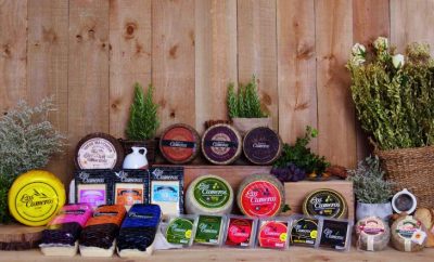 Bodegón quesos-Lácteos Martínez-9 medallas World Cheese Awards-