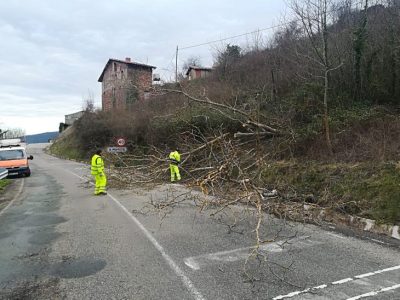 sos rioja