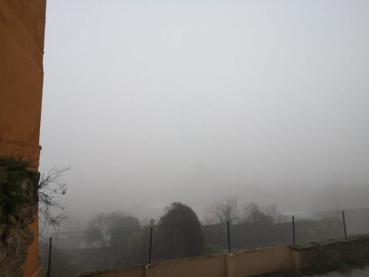 Niebla