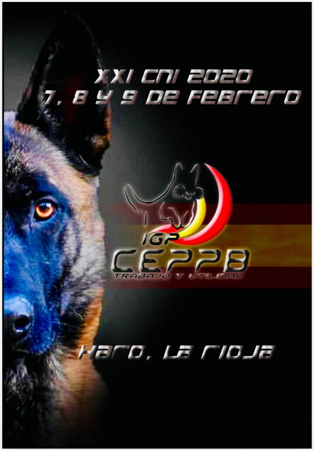 Campeonato Perros Pastor Belga