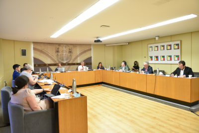 comparecencia de Ocon