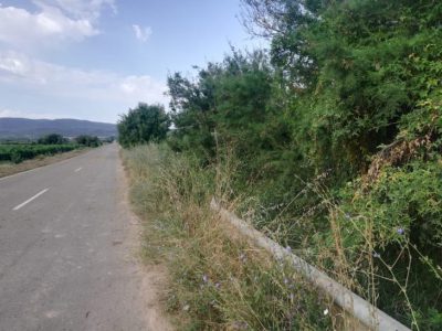 cuneta
