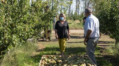 Eva Hita en su visita a frutales en Rincón de Soto-min