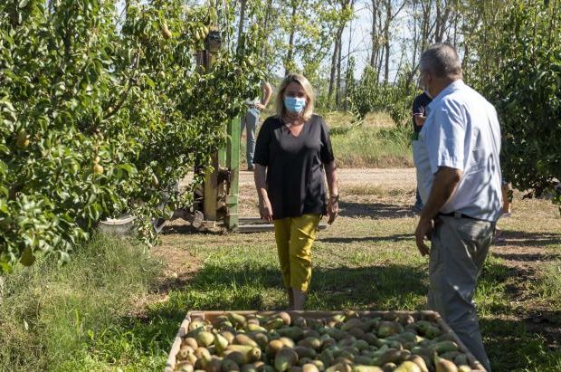 Eva Hita en su visita a frutales en Rincón de Soto-min