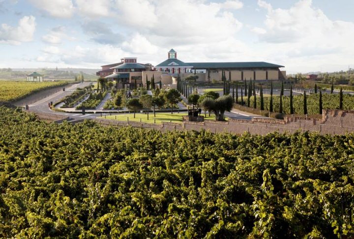 Museo Vivanco de la Cultura del Vino-Exterior (002)