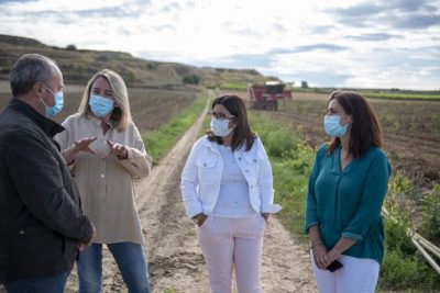 finca patata Cooperativa Rioja Alta