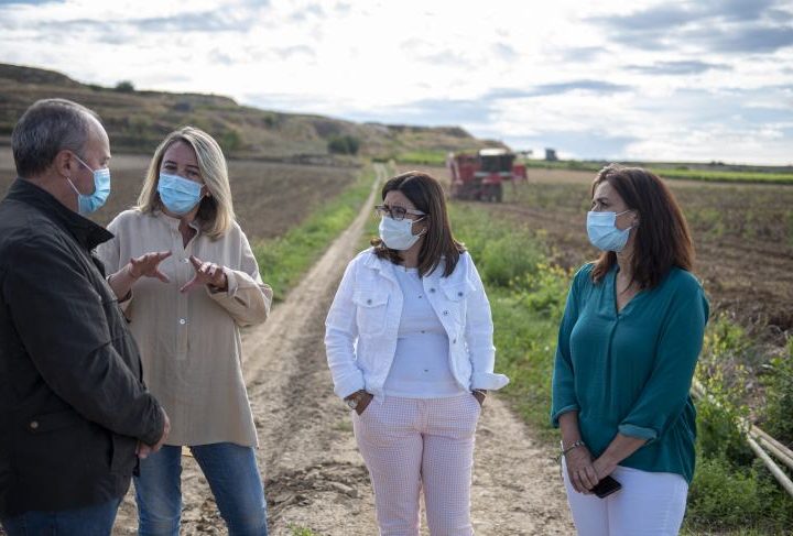 finca patata Cooperativa Rioja Alta