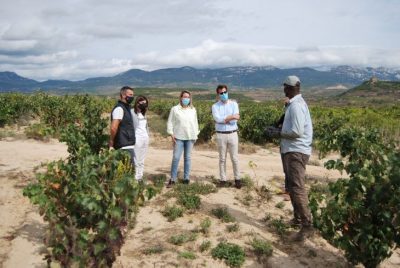 Visita cooperativa Señorío de la Estrella