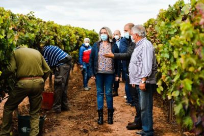 Eva Hita vendimia visita ARAG-ASAJA 1