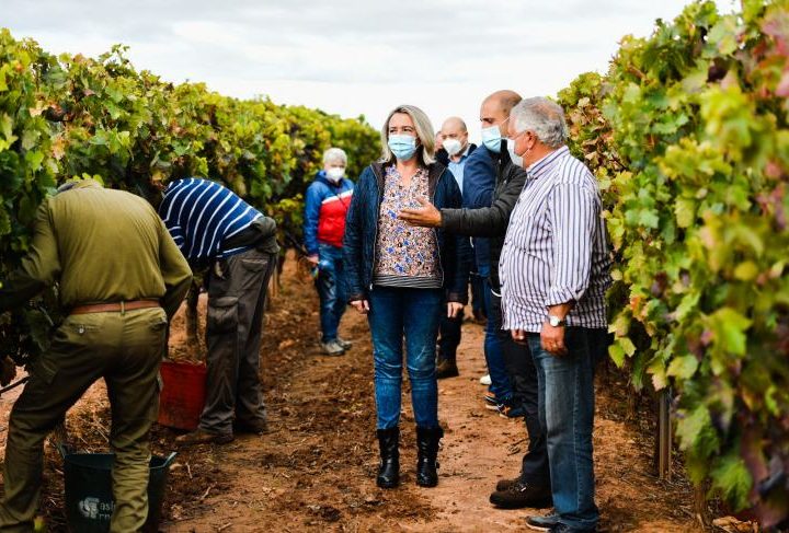 Eva Hita vendimia visita ARAG-ASAJA 1