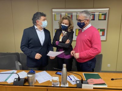 Cuevas comparecencia Alba